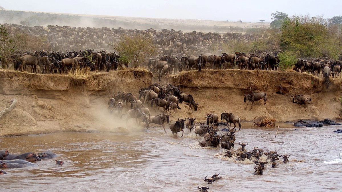 Maasai Mara