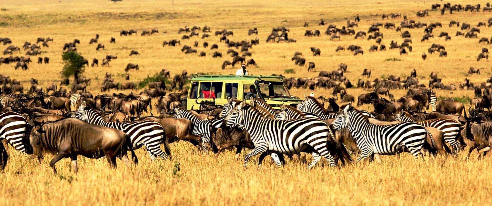 Great Migration